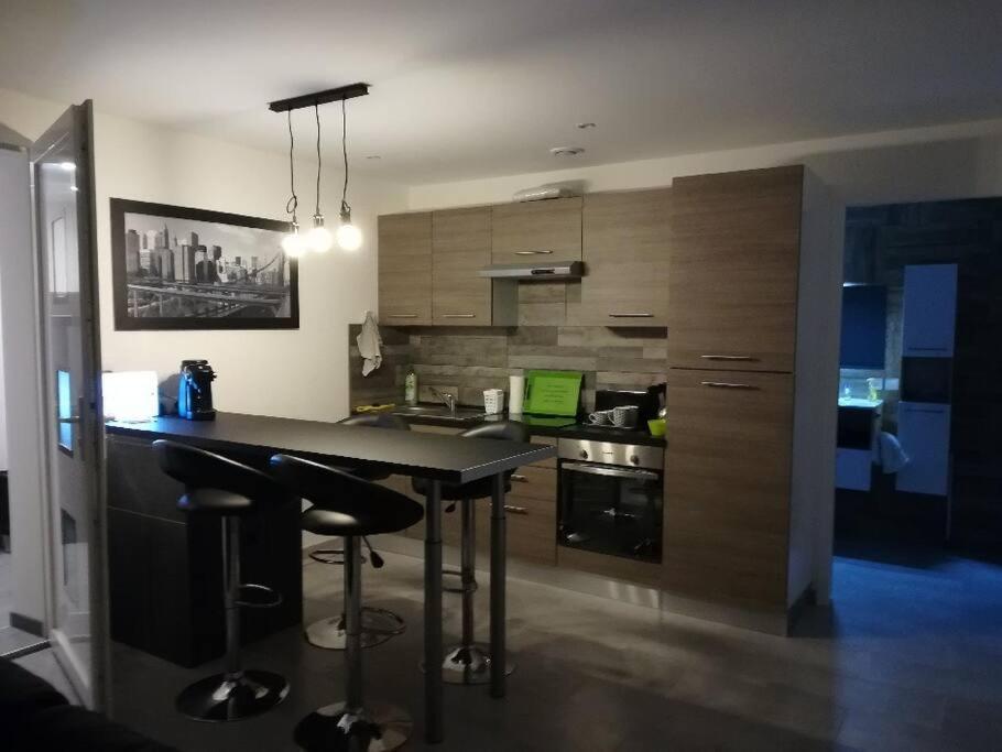 Appartement Spacieux &Tres Calme. Spacious & Very Quiet Apartment. Carros Zewnętrze zdjęcie